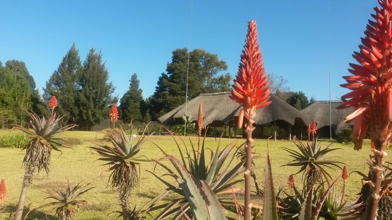 African Flair Country Lodge Пит-Ретиф Экстерьер фото