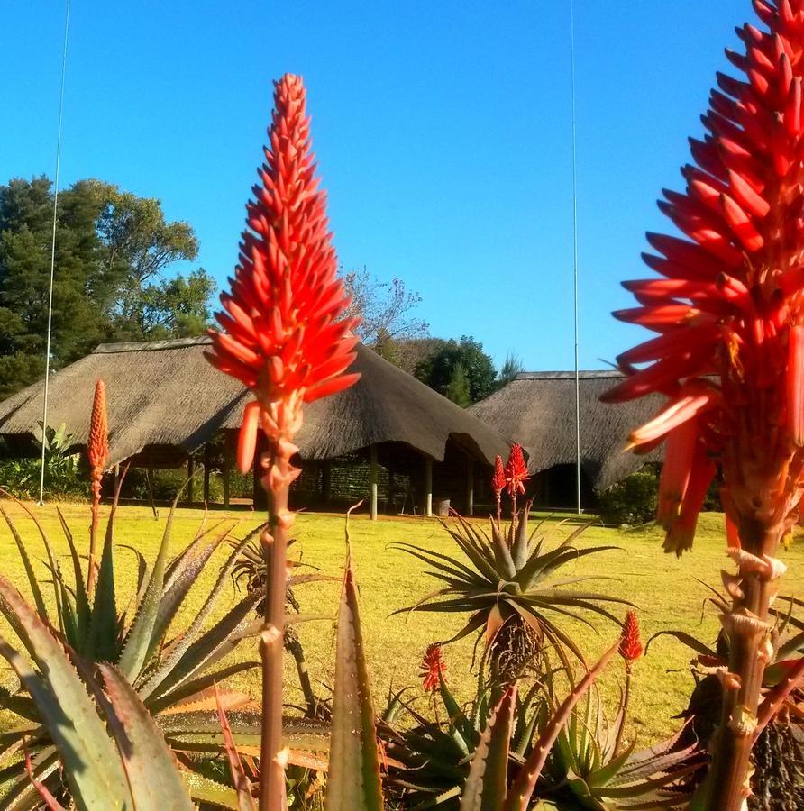 African Flair Country Lodge Пит-Ретиф Экстерьер фото
